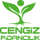 Cengiz Fidancılık, Mersin Fidan, Mersin Fidancılık