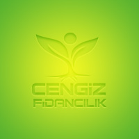 Cengiz Fidancılık, Mersin Fidan, Mersin Fidancılık